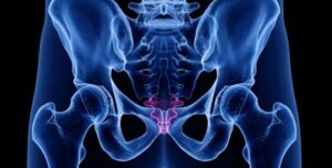 Почему у людей растут «хвосты»: ученые объяснили, зачем они нам нужны»>