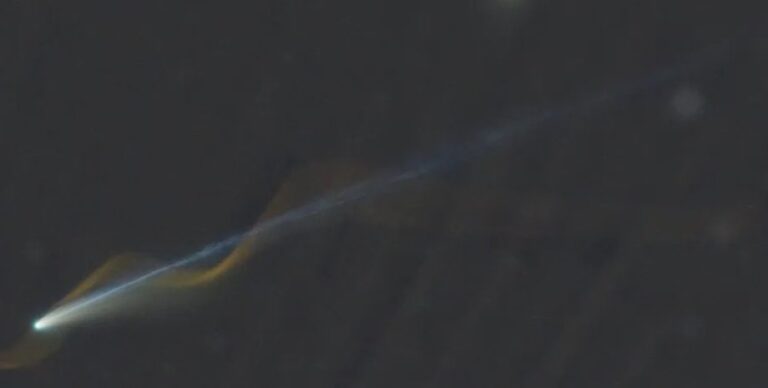 Прилетела впервые за 1350 лет: хвост яркой кометы окутал светящийся след метеора (фото)»>