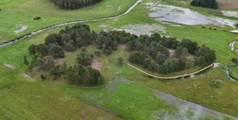 Владели передовыми знаниями: в Польше нашли редкие кельтские артефакты (фото)»>