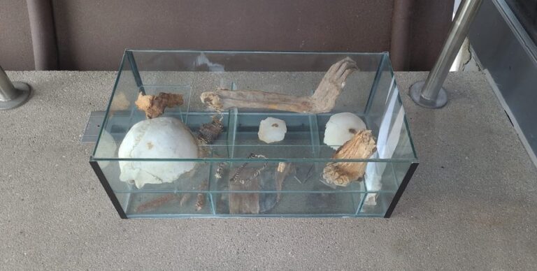 Задействовали даже немецкую полицию: почему 1000-летние останки требуют современного расследования»>