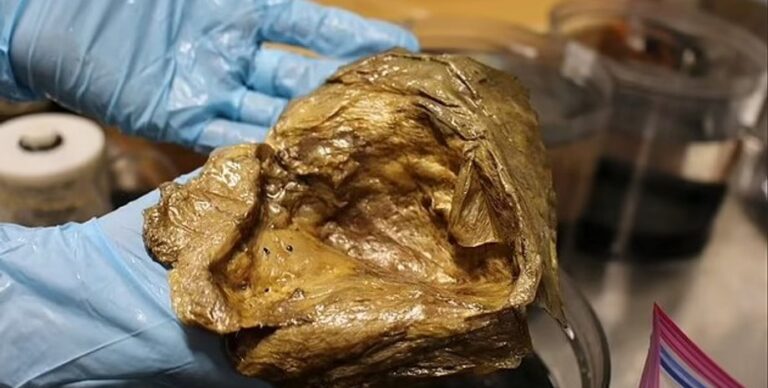 Как из фильмов ужасов. На дне Тихого океана найдено золотое яйцо и никто не знает, чье оно»>