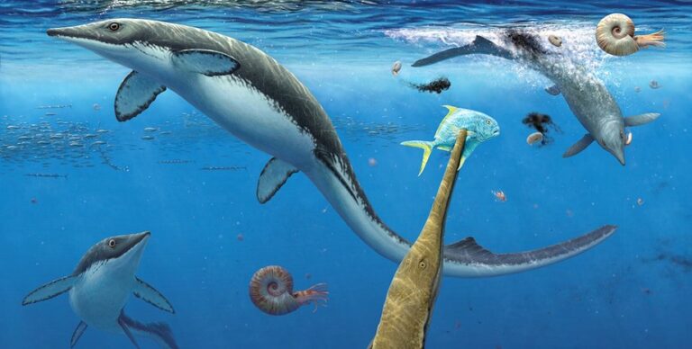 На арктическом острове обнаружено более 30 000 зубов и костей: кому принадлежат все эти останки»>