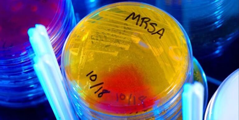 Найден новый антибиотик, способный лечить опасные инфекции: все время скрывался на виду»>