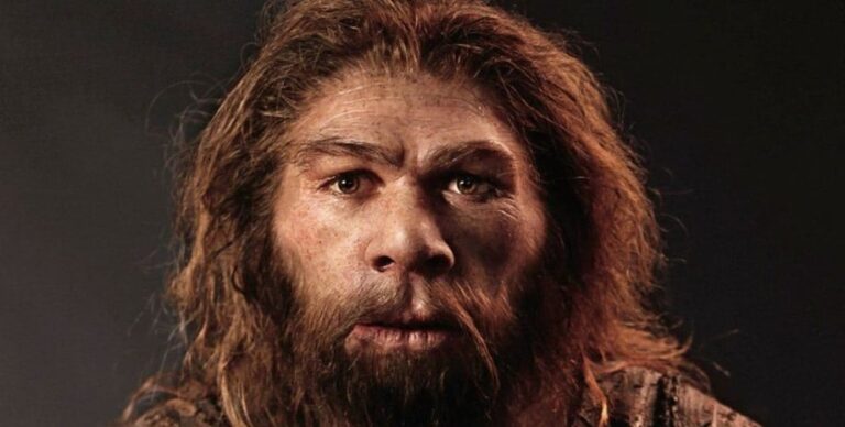Неандертальцы не вымерли по-настоящему: где же они скрываются»>