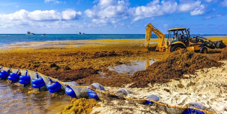 Нечто, прибывшее из моря, захватывает Атлантический океан: мы наконец знаем, почему»>