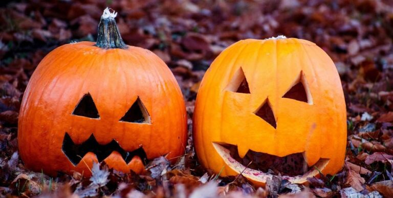 Принесет много вреда: почему нельзя оставлять тыквы на улице»>