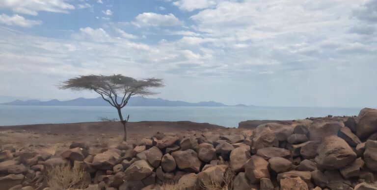 Тайна раскола континентов: почему некоторые участки земной коры достаточно прочны, а другие нет»>