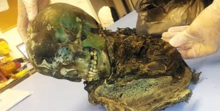 Ученые раскрыли секрет зеленой мумии: им понадобилось 4 десятилетия (фото)»>