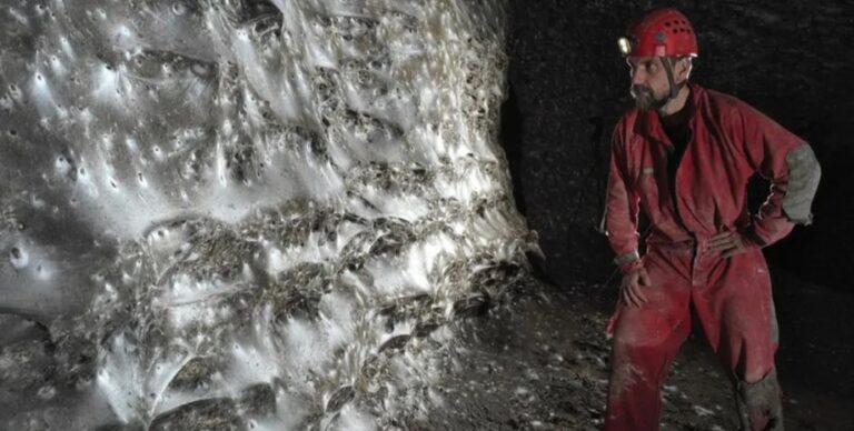 В Серной пещере найдена самая большая паутина в мире: на ней сидит 111 тыс. пауков (фото)»>