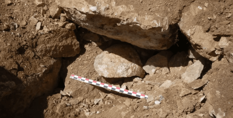 Выставили голову для запугивания: ученые нашли свидетельства жестокости древних римлян в Испании (фото)»>