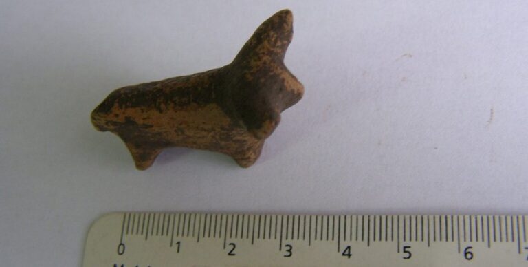 6000-летний артефакт обнаружили в Ивано-Франковской области: что известно о находке (фото)»>