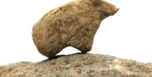 Артефакты докерамического неолита: раскопки в Турции принесли новые находки (фото)»>