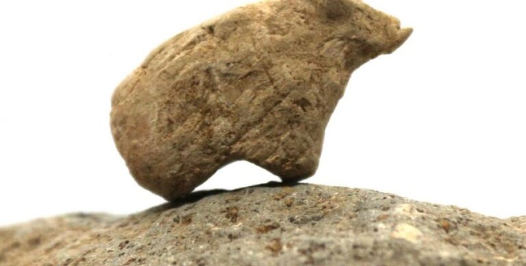 Артефакты докерамического неолита: раскопки в Турции принесли новые находки (фото)»>