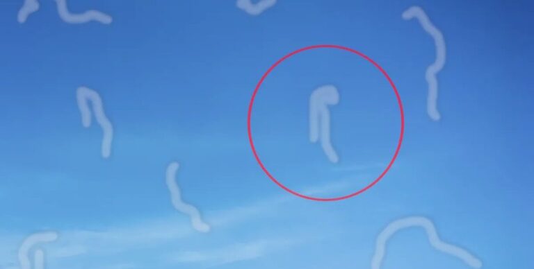 «Мушки» перед глазами: что за пятна, похожие на червячков, мы порой видим перед собой (видео)»>