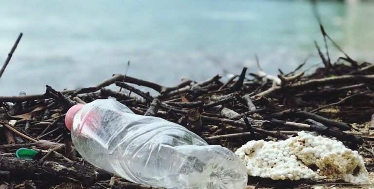 Пластик запрограммировали на четкий срок службы: он сможет распадаться всего за пару дней»>