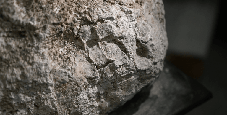 Покрывали умерших гипсом: археологи обнаружили доказательства существования необычной практики в римской Британии (фото)»>