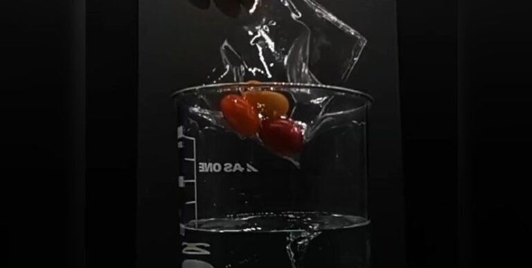 Растворяется в океане без следа: изобретение ученых из Японии может спасти Землю (видео)»>