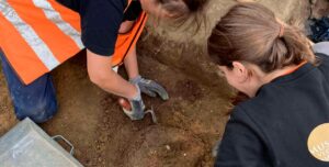 Старейшее железное оружие Дании: артефакты нашли в священном источнике бронзового века (фото)»>