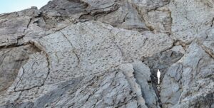 Тысячи следов гигантов: находка невероятных масштабов в итальянских Альпах (фото)»>