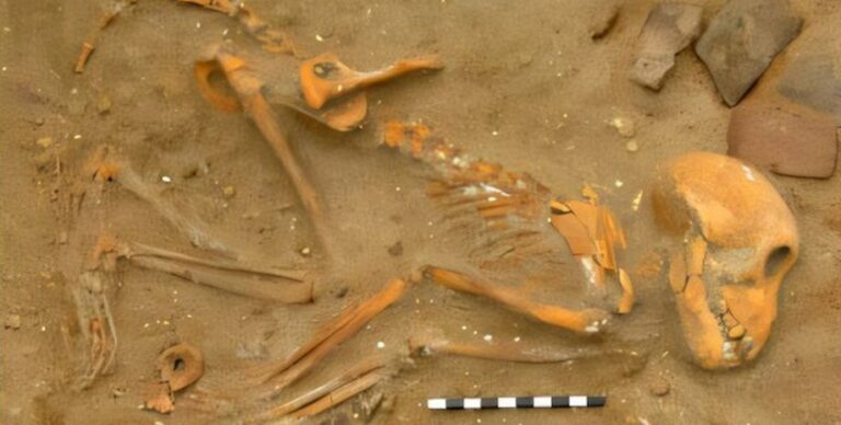 Жить нужно интересно: римские полководцы дарили своим ручным обезьянам домашних животных»>