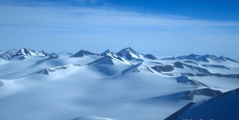 Лишь одно насекомое в мире способно выжить в суровой Антарктиде: оно размером с муравья (видео)»>