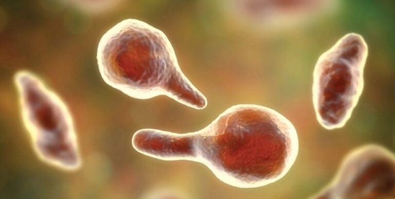 На МКС что-то странное произошло с вирусами: они стали более опасными (фото)»>