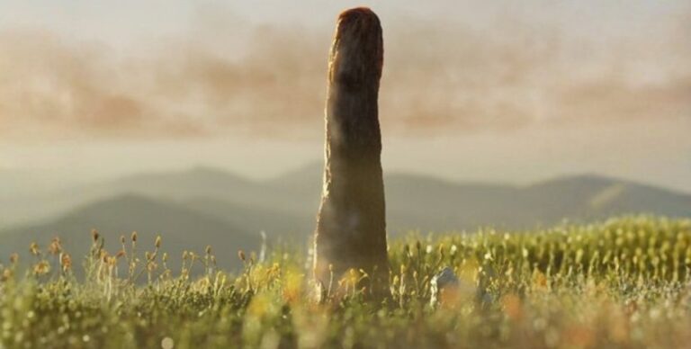 Обнаружена совершенно новая форма жизни: загадочные гиганты не поддаются классификации»>