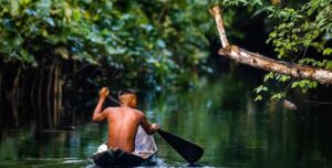 Почему на реке Амазонке нет ни единого моста: ученые назвали главную причину»>