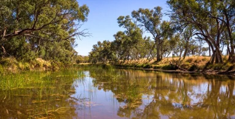 Самая древняя в мире река существует уже 400 миллионов лет: где она находится (фото)»>
