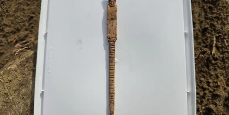 Стыдливое украшение вырезали намеренно: археологи нашли артефакт с необычным символом плодородия (фото)»>