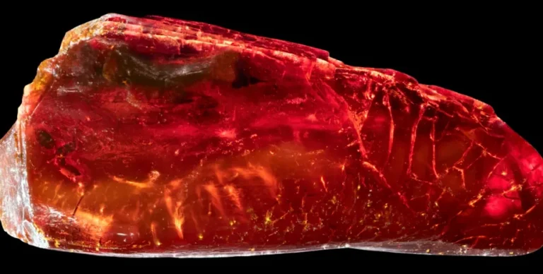 Ученые раскрыли тайну Гете: в этом помогла его коллекция янтаря (фото)»>