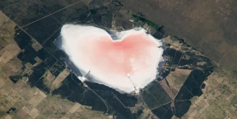 Астронавт NASA из космоса сфотографировал соленое «сердце» на Земле (фото)»>