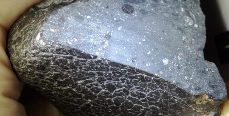 На Землю прилетел черный камень с Марса: в нем нашли то, чего не существует на планете (фото)»>