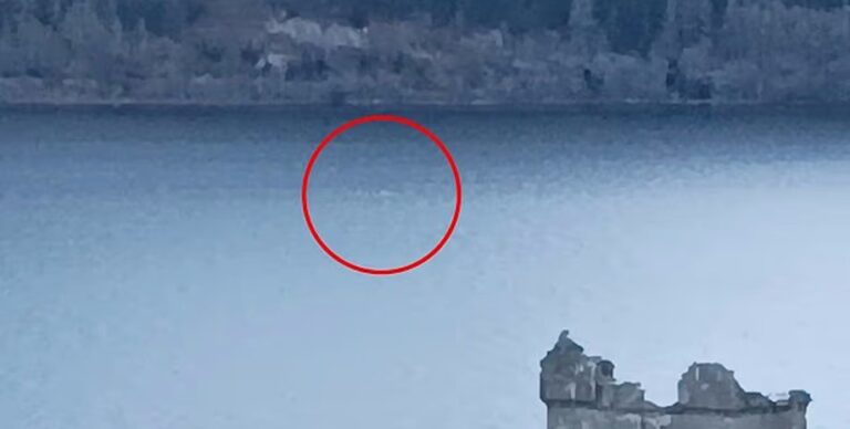 Ни одно известно существо не может достичь такой скорости: появилось новое видео монстра-Несси (видео)»>