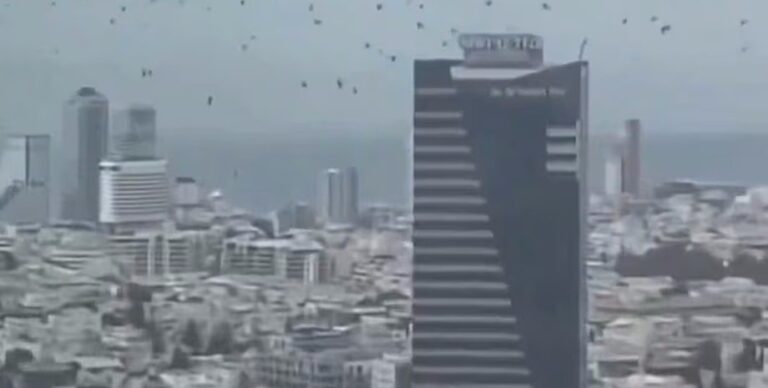 Предвестники настоящей беды: тысячи ворон неожиданно облепили небосклон Тель-Авива (видео)»>