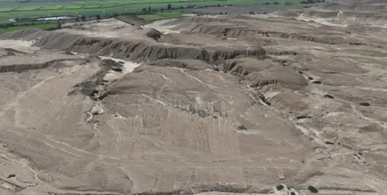 Тянется на два километра: в Перу обнаружили священную дорогу и храмовый комплекс Чиму (фото)»>
