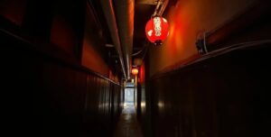 Мрачное явление ранее встречалось лишь в Японии, но распространилось по всему миру: что происходит»>