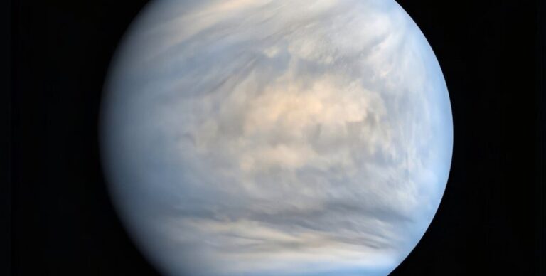 На Венере сейчас могут находиться жители Земли: что выяснили ученые»>