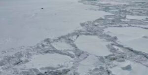 Новое место битвы: Антарктида тает и открывает огромные запасы золота, серебра и платины»>