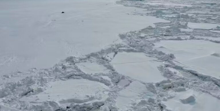 Новое место битвы: Антарктида тает и открывает огромные запасы золота, серебра и платины»>