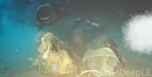 Тушу коровы сбросили в море и нечаянно призвали «спящих монстров»: о них мало что известно (видео)»>