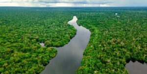 В Амазонии найдены 350 км древних дорог: 2700 лет назад их построили квалифицированные инженеры»>