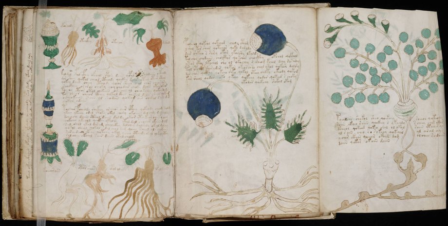 Рукопись Войнича написана шифром