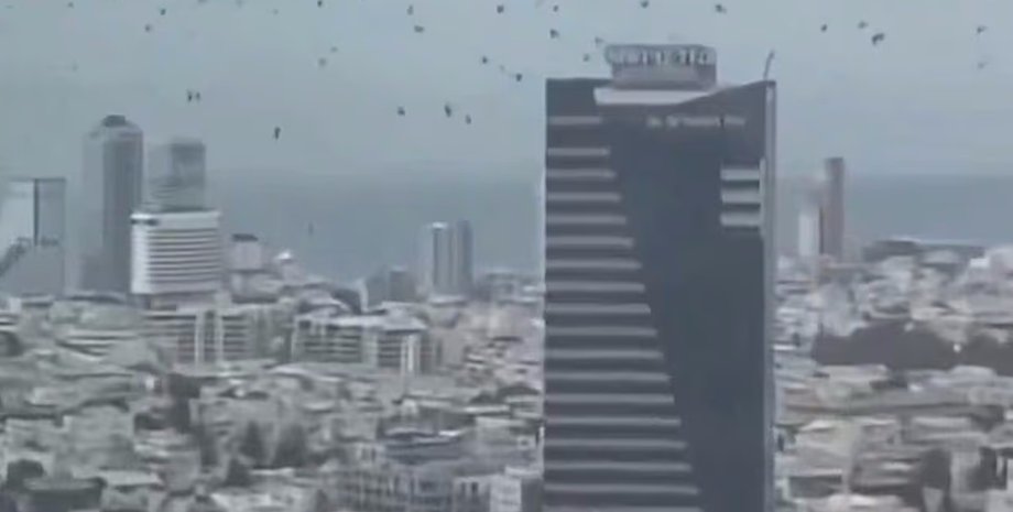 тель-авив вороны