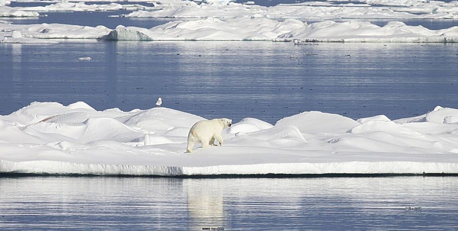 Северный Ледовитый океан