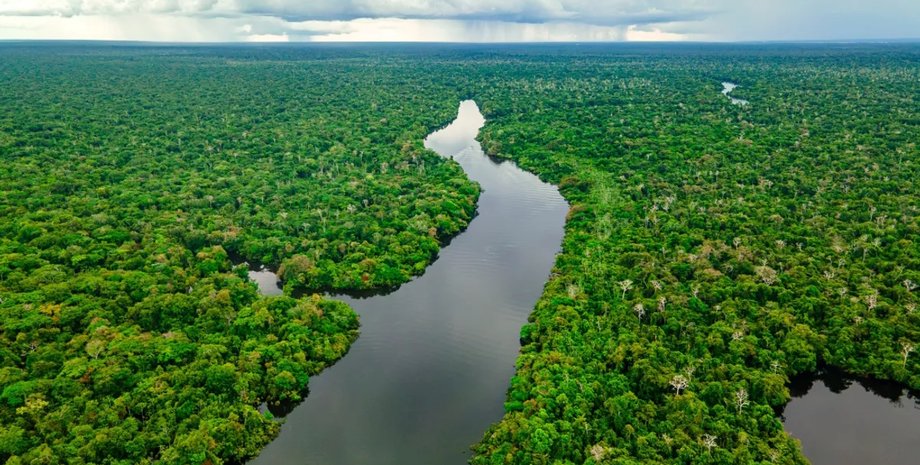 амазония дороги