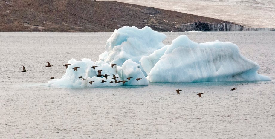 арктические воды морской лед в арктике